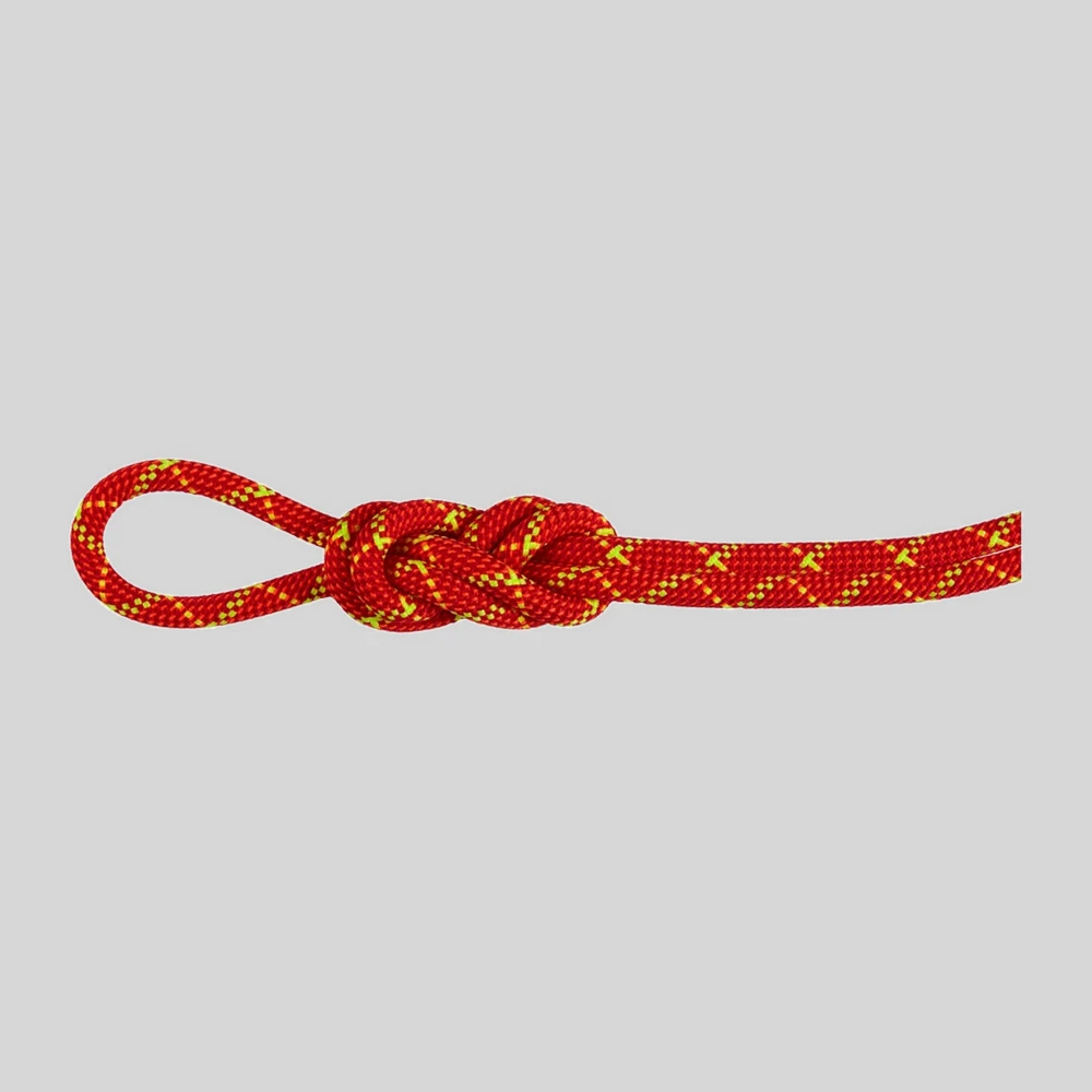 Cuerdas y cintas: Mammut 8.0 Alpine Core Protect Dry media