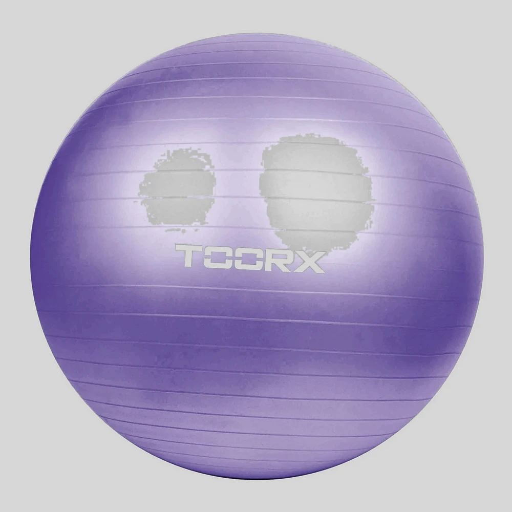 Entrenamiento: TOORX pelota de gimnasia