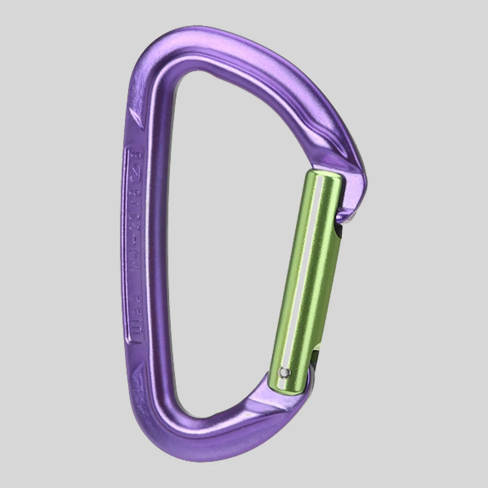Herramienta: Wild Country Sessión Straight Gate carabiner