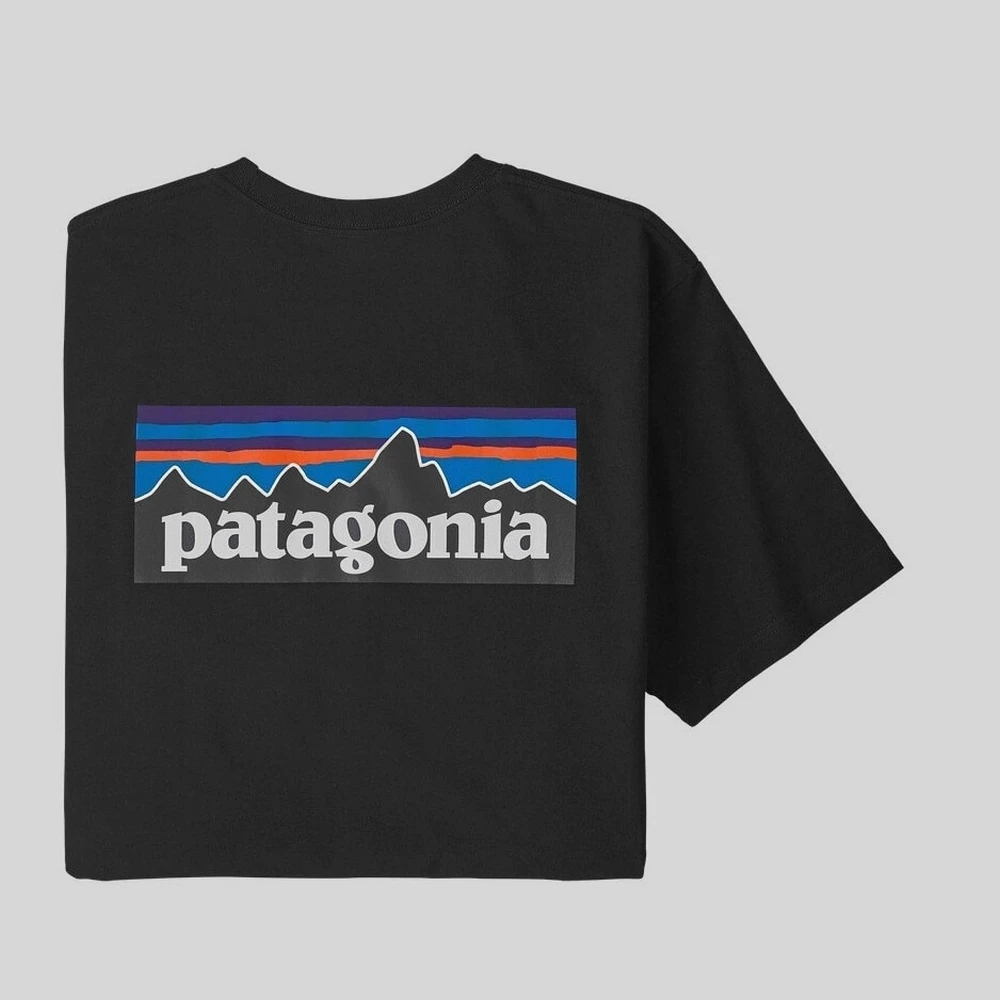 Ropa hombre: Patagonia M's P